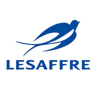 Groupe Lesaffre